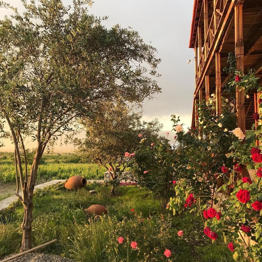 Villa Elizbar Talakvadze Winery à Kardanakhi Extérieur photo