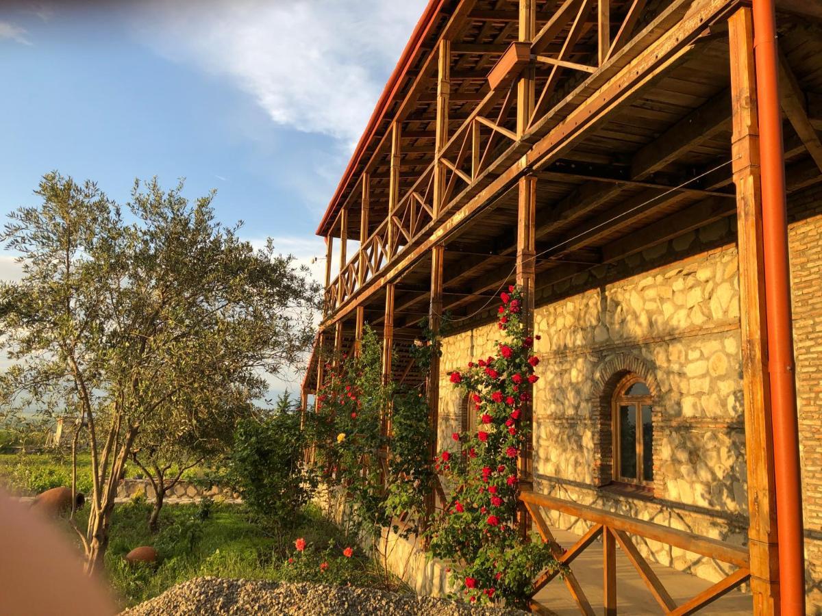 Villa Elizbar Talakvadze Winery à Kardanakhi Extérieur photo
