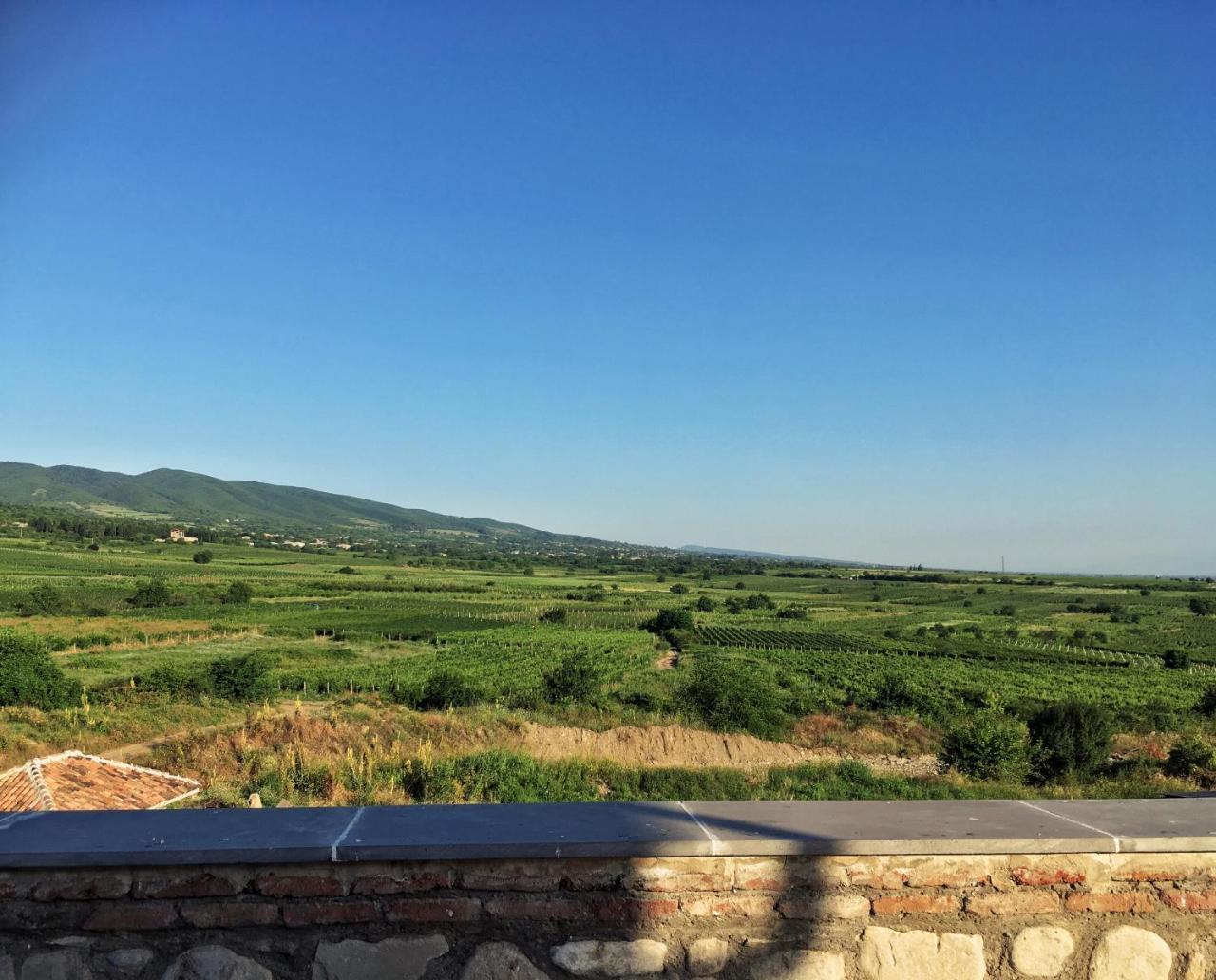 Villa Elizbar Talakvadze Winery à Kardanakhi Extérieur photo